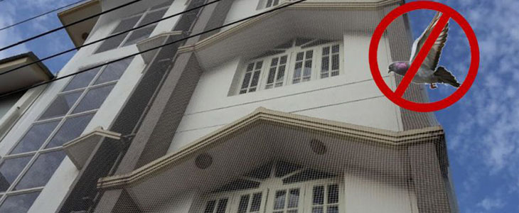 Pigeon Nets In Hyderabad